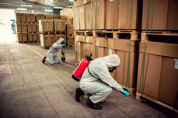 Reliable Mosheim, TN Pest Control Solutions