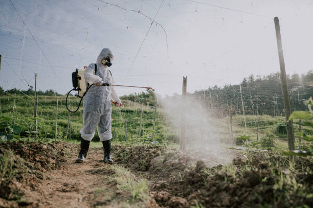 Best Local Pest Control Services  in Mosheim, TN
