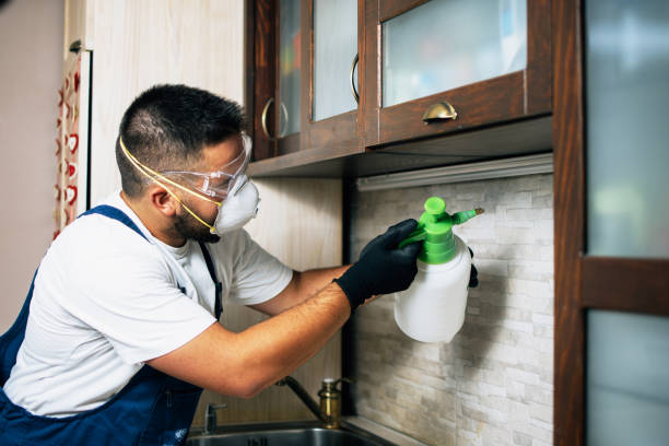 Best Best Pest Control Companies  in Mosheim, TN