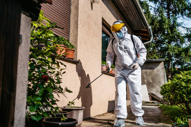 Best Flea Control Services  in Mosheim, TN