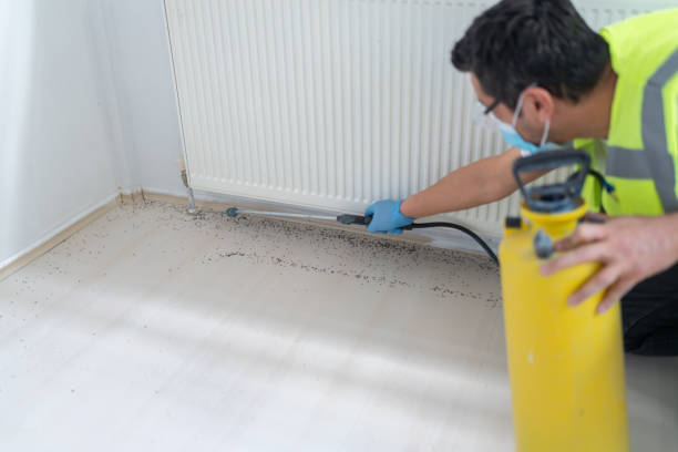 Best Ant Control Services  in Mosheim, TN