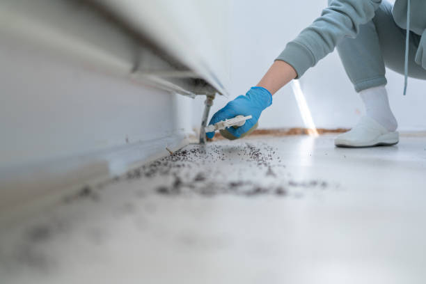 Best Affordable Pest Control Services  in Mosheim, TN