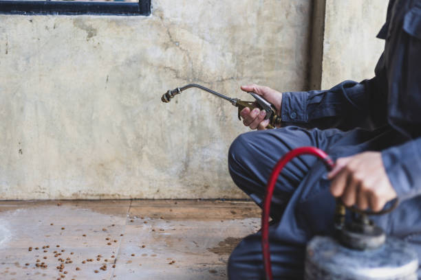 Best Mosquito Control Services  in Mosheim, TN